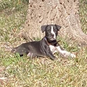 Meet your Posher, Ty